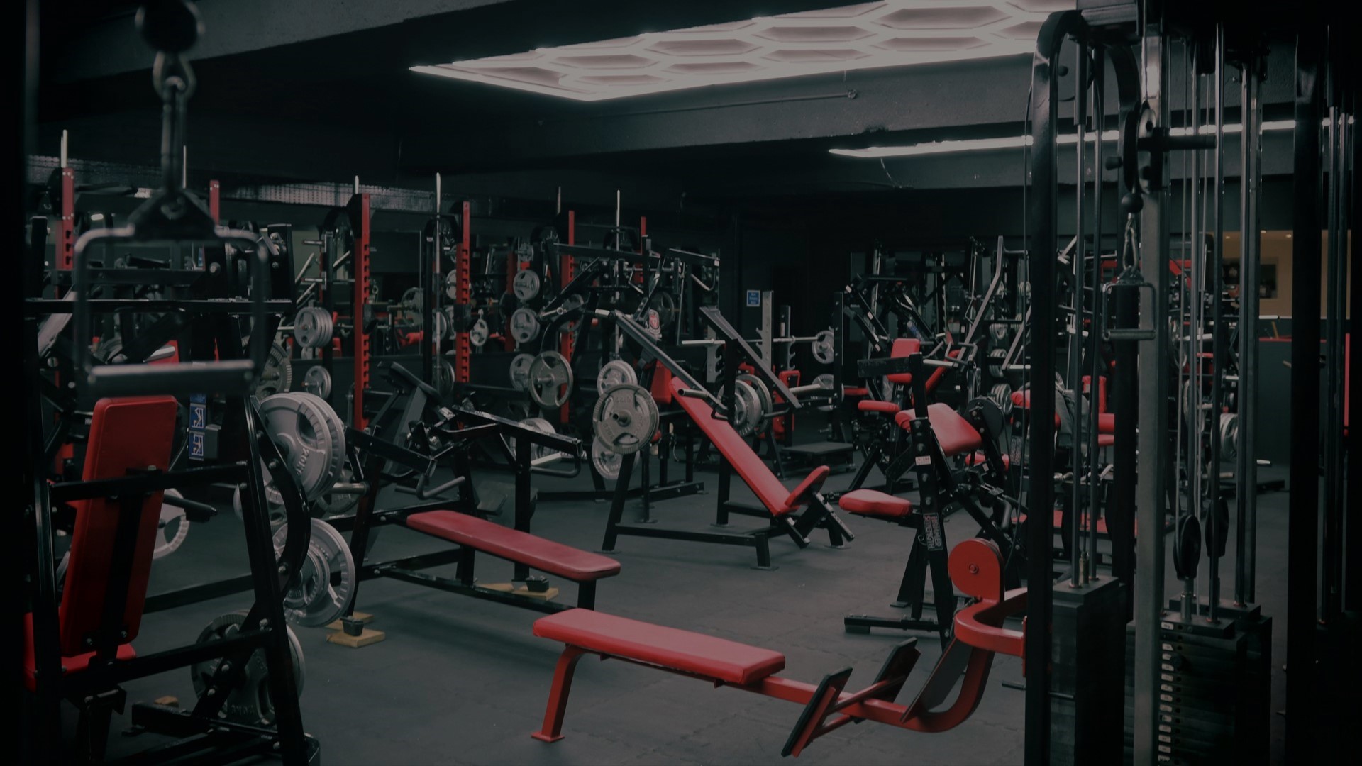 Gym Background